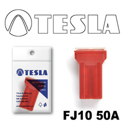 ������ �������������� Tesla �������������� ������������ ���� FJ10 50� | ������� FJ1050A - inomarca.kz