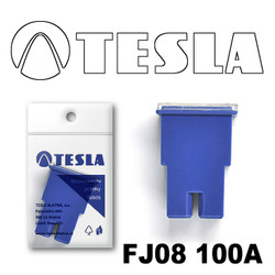 ������ �������������� Tesla �������������� ������������ ���� FJ08 100� | ������� FJ08100A - inomarca.kz