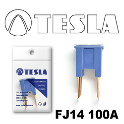 ������ �������������� Tesla �������������� ������������ ���� FJ14 100� | ������� FJ14100A - inomarca.kz