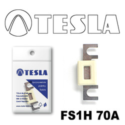 ������ �������������� Tesla �������������� ��������� � ���������� 70� | ������� FS1H70A - inomarca.kz