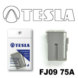 ������ �������������� Tesla �������������� ������������ ���� FJ09 75� | ������� FJ0975A - inomarca.kz