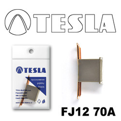 ������ �������������� Tesla �������������� ������������ ���� FJ12 70� | ������� FJ1270A - inomarca.kz
