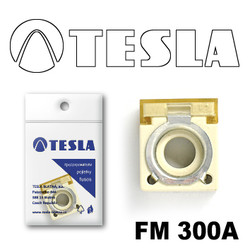 ������ �������������� Tesla �������������� ���������� FM  300A | ������� FM300A - inomarca.kz