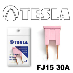 ������ �������������� Tesla �������������� ������������ ���� FJ15 30� | ������� FJ1530A - inomarca.kz