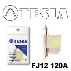 ������ �������������� Tesla �������������� ������������ ���� FJ12 120� | ������� FJ12120A - inomarca.kz