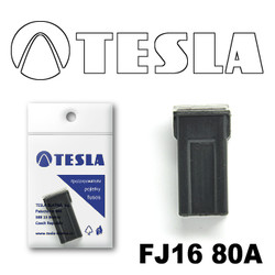 ������ �������������� Tesla �������������� ������������ ���� FJ16 80� | ������� FJ1680A - inomarca.kz