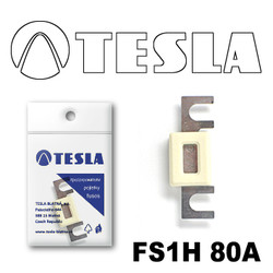 ������ �������������� Tesla �������������� ��������� � ���������� 80� | ������� FS1H80A - inomarca.kz