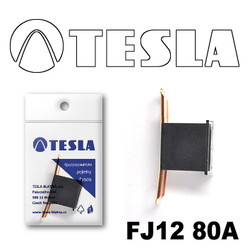 ������ �������������� Tesla �������������� ������������ ���� FJ12 80� | ������� FJ1280A - inomarca.kz