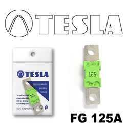 ������ �������������� Tesla �������������� MEGA 125A | ������� FG125A - inomarca.kz