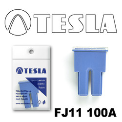 ������ �������������� Tesla �������������� ������������ ���� FJ11 100� | ������� FJ11100A - inomarca.kz