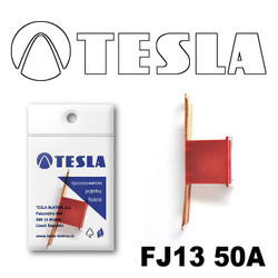 ������ �������������� Tesla �������������� ������������ ���� FJ13 50� | ������� FJ1350A - inomarca.kz