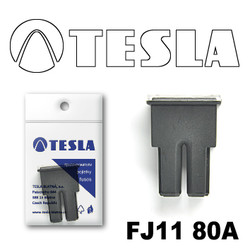 ������ �������������� Tesla �������������� ������������ ���� FJ11 80� | ������� FJ1180A - inomarca.kz