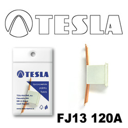 ������ �������������� Tesla �������������� ������������ ���� FJ13 120� | ������� FJ13120A - inomarca.kz
