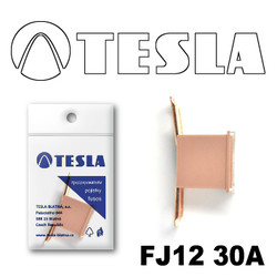 ������ �������������� Tesla �������������� ������������ ���� FJ12 30� | ������� FJ1230A - inomarca.kz