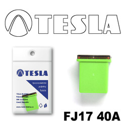 ������ �������������� Tesla �������������� ������������ ���� FJ17 40� | ������� FJ1740A - inomarca.kz