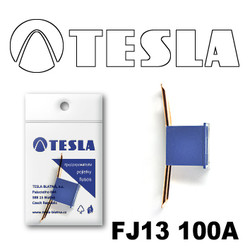 ������ �������������� Tesla �������������� ������������ ���� FJ13 100� | ������� FJ13100A - inomarca.kz