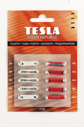 ������ �������������� Tesla �������������� CONTINENTAL (5�8�, 5�16�), �������� 10��. | ������� F151 - inomarca.kz