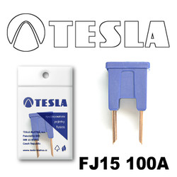 ������ �������������� Tesla �������������� ������������ ���� FJ15 100� | ������� FJ15100A - inomarca.kz