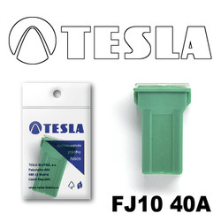 ������ �������������� Tesla �������������� ������������ ���� FJ10 40� | ������� FJ1040A - inomarca.kz