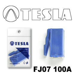 ������ �������������� Tesla �������������� ������������ ���� FJ07 100� | ������� FJ07100A - inomarca.kz