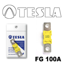 ������ �������������� Tesla �������������� MEGA 100A | ������� FG100A - inomarca.kz