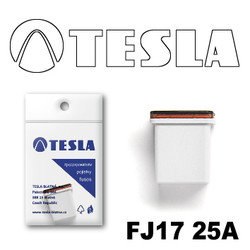 ������ �������������� Tesla �������������� ������������ ���� FJ17 25� | ������� FJ1725A - inomarca.kz