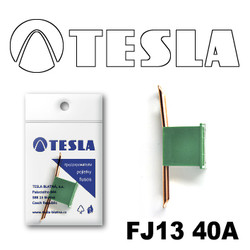 ������ �������������� Tesla �������������� ������������ ���� FJ13 40� | ������� FJ1340A - inomarca.kz
