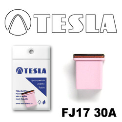 ������ �������������� Tesla �������������� ������������ ���� FJ17 30� | ������� FJ1730A - inomarca.kz