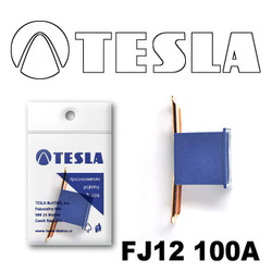 ������ �������������� Tesla �������������� ������������ ���� FJ12 100� | ������� FJ12100A - inomarca.kz