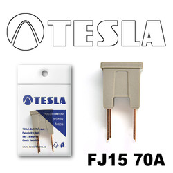 ������ �������������� Tesla �������������� ������������ ���� FJ15 70� | ������� FJ1570A - inomarca.kz