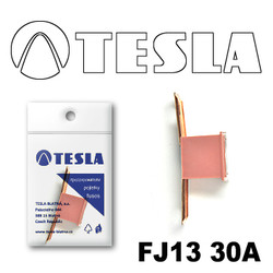 ������ �������������� Tesla �������������� ������������ ���� FJ13 30� | ������� FJ1330A - inomarca.kz