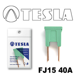 ������ �������������� Tesla �������������� ������������ ���� FJ15 40� | ������� FJ1540A - inomarca.kz