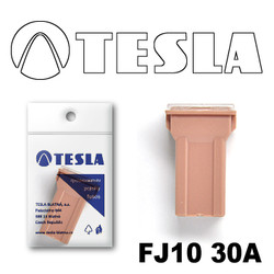 ������ �������������� Tesla �������������� ������������ ���� FJ10 30� | ������� FJ1030A - inomarca.kz