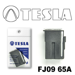 ������ �������������� Tesla �������������� ������������ ���� FJ09 65� | ������� FJ0965A - inomarca.kz