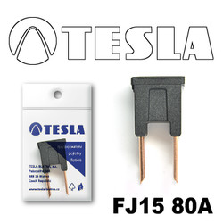 ������ �������������� Tesla �������������� ������������ ���� FJ15 80� | ������� FJ1580A - inomarca.kz