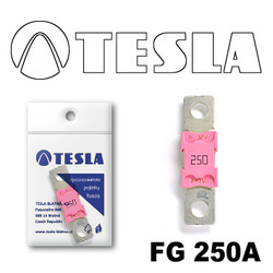 ������ �������������� Tesla �������������� MEGA 250A | ������� FG250A - inomarca.kz
