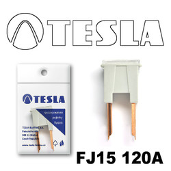 ������ �������������� Tesla �������������� ������������ ���� FJ15 120� | ������� FJ15120A - inomarca.kz