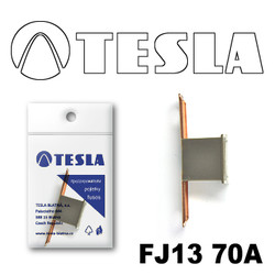 ������ �������������� Tesla �������������� ������������ ���� FJ13 70� | ������� FJ1370A - inomarca.kz
