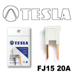 ������ �������������� Tesla �������������� ������������ ���� FJ15 20� | ������� FJ1520A - inomarca.kz