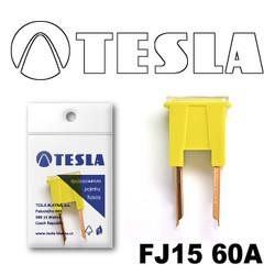 ������ �������������� Tesla �������������� ������������ ���� FJ15 60� | ������� FJ1560A - inomarca.kz