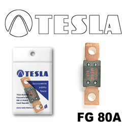 ������ �������������� Tesla �������������� MEGA 80A | ������� FG80A - inomarca.kz