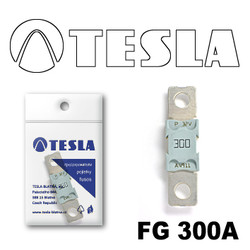 ������ �������������� Tesla �������������� MEGA 300A | ������� FG300A - inomarca.kz