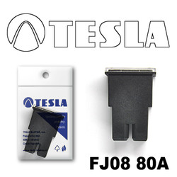 ������ �������������� Tesla �������������� ������������ ���� FJ08 80� | ������� FJ0880A - inomarca.kz