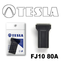 ������ �������������� Tesla �������������� ������������ ���� FJ10 80� | ������� FJ1080A - inomarca.kz