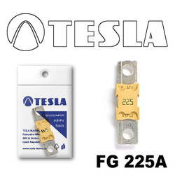 ������ �������������� Tesla �������������� MEGA 225A | ������� FG225A - inomarca.kz